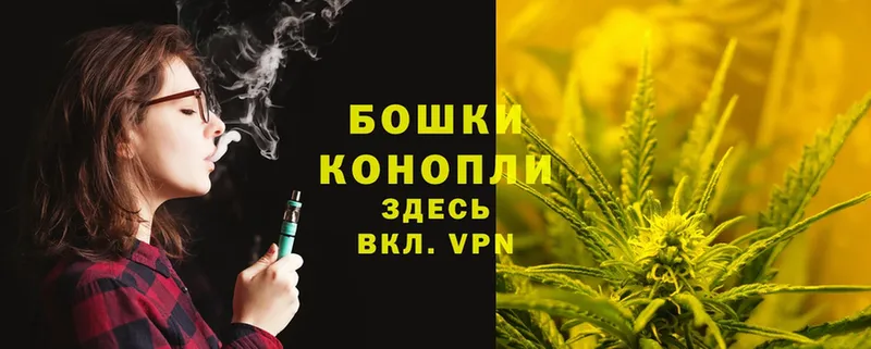 Бошки марихуана THC 21%  как найти   Дальнереченск 